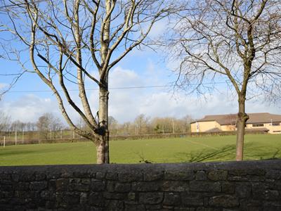 Picture 11